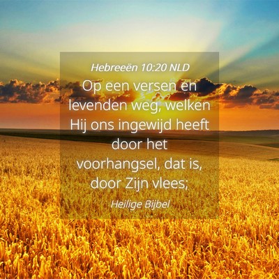 Picture 04 - Hebreeën 10:20 NLD - Op een versen en levenden weg, welken Hij ons - Bible Verse Picture