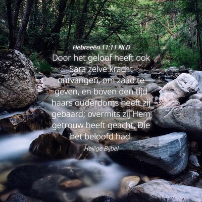 Picture 04 - Hebreeën 11:11 NLD - Door het geloof heeft ook Sara zelve kracht - Bible Verse Picture