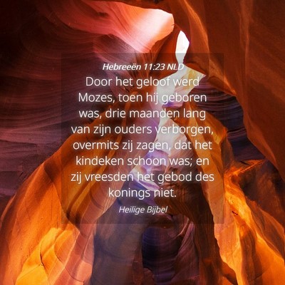 Picture 04 - Hebreeën 11:23 NLD - Door het geloof werd Mozes, toen hij geboren was, - Bible Verse Picture