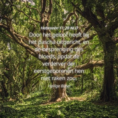 Picture 04 - Hebreeën 11:28 NLD - Door het geloof heeft hij het pascha uitgericht, - Bible Verse Picture