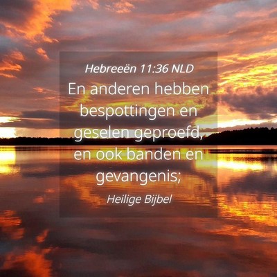 Picture 04 - Hebreeën 11:36 NLD - En anderen hebben bespottingen en geselen - Bible Verse Picture