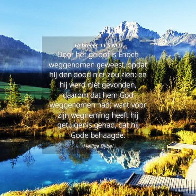 Picture 04 - Hebreeën 11:5 NLD - Door het geloof is Enoch weggenomen geweest, - Bible Verse Picture