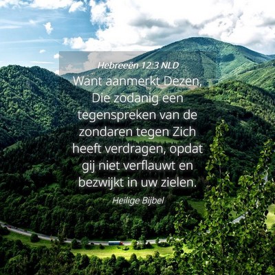 Picture 04 - Hebreeën 12:3 NLD - Want aanmerkt Dezen, Die zodanig een tegenspreken - Bible Verse Picture