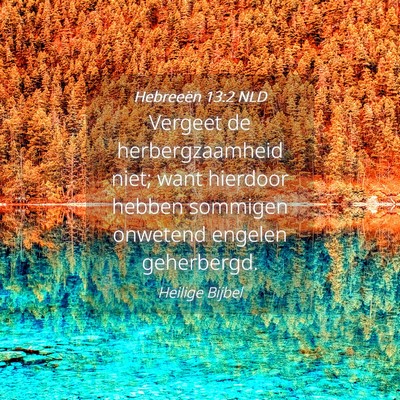 Picture 04 - Hebreeën 13:2 NLD - Vergeet de herbergzaamheid niet; want hierdoor - Bible Verse Picture