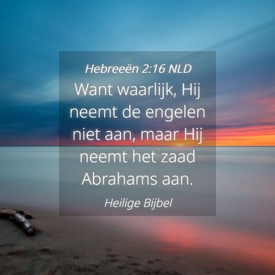 Picture 04 - Hebreeën 2:16 NLD - Want waarlijk, Hij neemt de engelen niet aan, - Bible Verse Picture