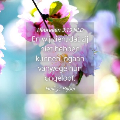 Picture 04 - Hebreeën 3:19 NLD - En wij zien, dat zij niet hebben kunnen ingaan - Bible Verse Picture