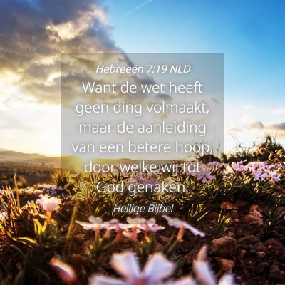 Picture 04 - Hebreeën 7:19 NLD - Want de wet heeft geen ding volmaakt, maar de - Bible Verse Picture