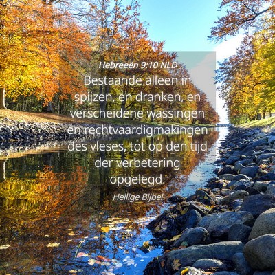 Picture 04 - Hebreeën 9:10 NLD - Bestaande alleen in spijzen, en dranken, en - Bible Verse Picture
