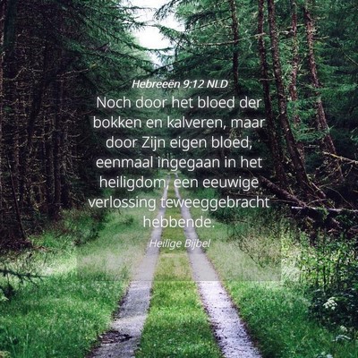 Picture 04 - Hebreeën 9:12 NLD - Noch door het bloed der bokken en kalveren, maar - Bible Verse Picture