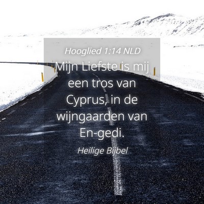 Picture 04 - Hooglied 1:14 NLD - Mijn Liefste is mij een tros van Cyprus, in de - Bible Verse Picture