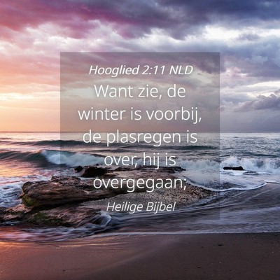 Picture 04 - Hooglied 2:11 NLD - Want zie, de winter is voorbij, de plasregen is - Bible Verse Picture