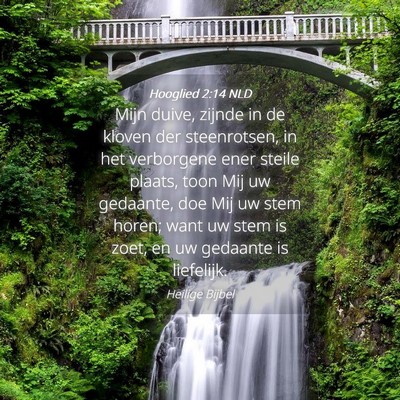 Picture 04 - Hooglied 2:14 NLD - Mijn duive, zijnde in de kloven der steenrotsen, - Bible Verse Picture