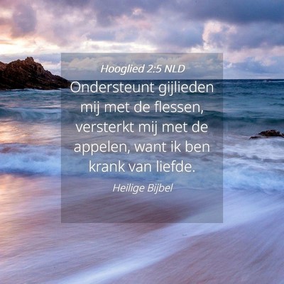 Picture 04 - Hooglied 2:5 NLD - Ondersteunt gijlieden mij met de flessen, - Bible Verse Picture
