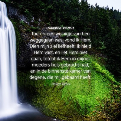 Picture 04 - Hooglied 3:4 NLD - Toen ik een weinigje van hen weggegaan was, vond - Bible Verse Picture