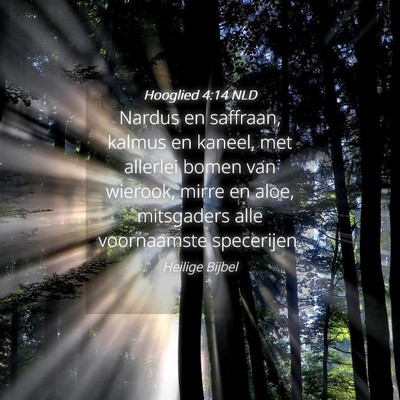 Picture 04 - Hooglied 4:14 NLD - Nardus en saffraan, kalmus en kaneel, met - Bible Verse Picture