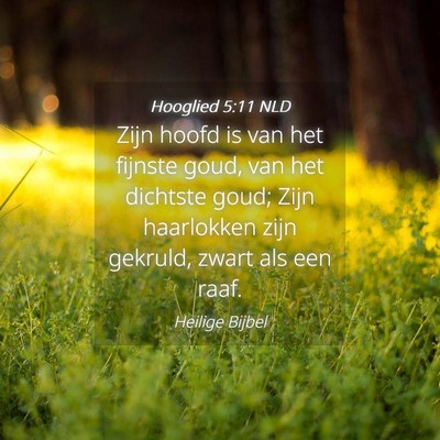 Picture 04 - Hooglied 5:11 NLD - Zijn hoofd is van het fijnste goud, van het - Bible Verse Picture