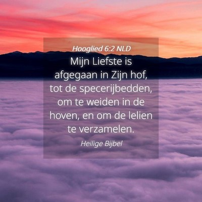 Picture 04 - Hooglied 6:2 NLD - Mijn Liefste is afgegaan in Zijn hof, tot de - Bible Verse Picture