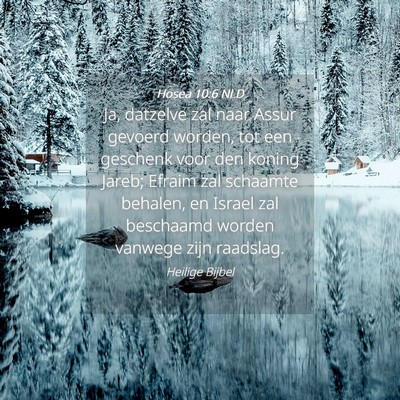 Picture 04 - Hosea 10:6 NLD - Ja, datzelve zal naar Assur gevoerd worden, tot - Bible Verse Picture