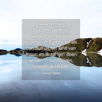 Picture 04 - Hosea 11:11 NLD - Zij zullen bevende aankomen als een vogeltje uit - Bible Verse Picture