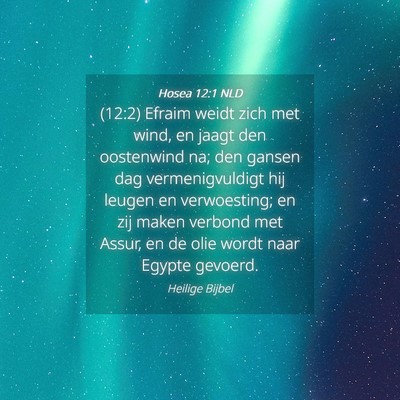 Picture 04 - Hosea 12:1 NLD - (12:2) Efraim weidt zich met wind, en jaagt den - Bible Verse Picture