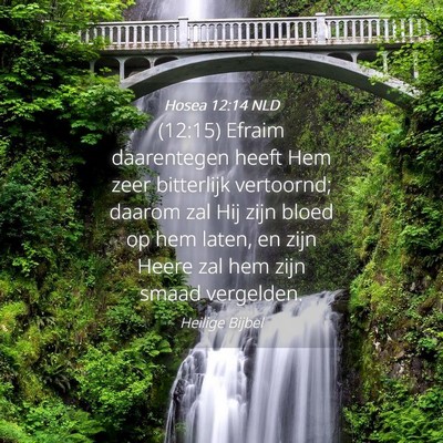 Picture 04 - Hosea 12:14 NLD - (12:15) Efraim daarentegen heeft Hem zeer - Bible Verse Picture