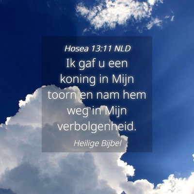 Picture 04 - Hosea 13:11 NLD - Ik gaf u een koning in Mijn toorn en nam hem weg - Bible Verse Picture