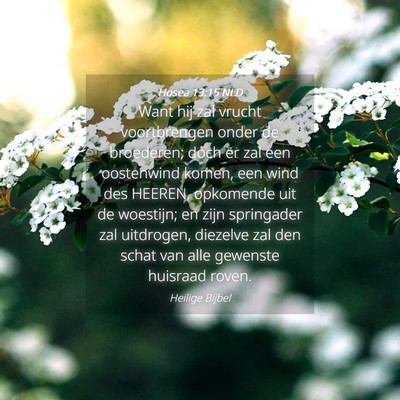 Picture 04 - Hosea 13:15 NLD - Want hij zal vrucht voortbrengen onder de - Bible Verse Picture