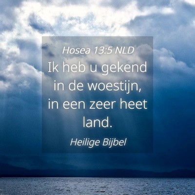 Picture 04 - Hosea 13:5 NLD - Ik heb u gekend in de woestijn, in een zeer heet - Bible Verse Picture