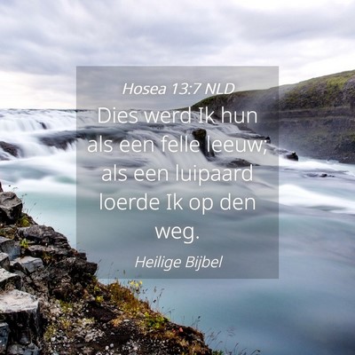 Picture 04 - Hosea 13:7 NLD - Dies werd Ik hun als een felle leeuw; als een - Bible Verse Picture