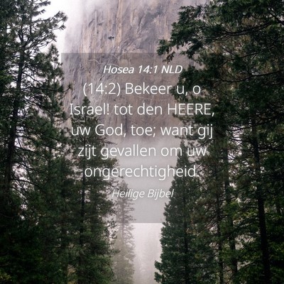 Picture 04 - Hosea 14:1 NLD - (14:2) Bekeer u, o Israel! tot den HEERE, uw God, - Bible Verse Picture