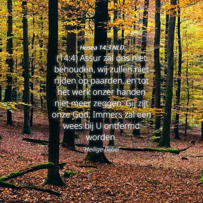 Picture 04 - Hosea 14:3 NLD - (14:4) Assur zal ons niet behouden, wij zullen - Bible Verse Picture