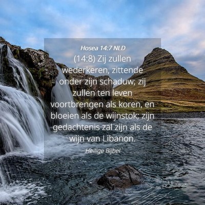 Picture 04 - Hosea 14:7 NLD - (14:8) Zij zullen wederkeren, zittende onder zijn - Bible Verse Picture