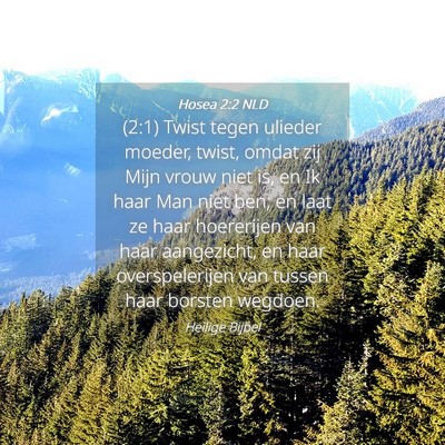 Picture 04 - Hosea 2:2 NLD - (2:1) Twist tegen ulieder moeder, twist, omdat - Bible Verse Picture