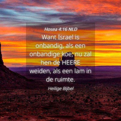 Picture 04 - Hosea 4:16 NLD - Want Israel is onbandig, als een onbandige koe; - Bible Verse Picture