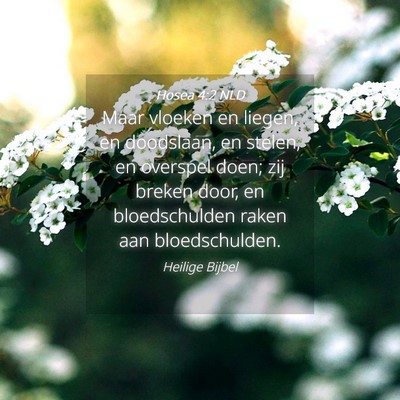 Picture 04 - Hosea 4:2 NLD - Maar vloeken en liegen, en doodslaan, en stelen, - Bible Verse Picture