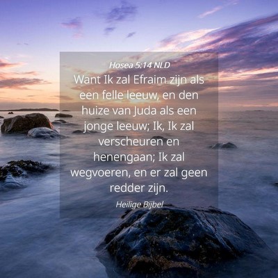 Picture 04 - Hosea 5:14 NLD - Want Ik zal Efraim zijn als een felle leeuw, en - Bible Verse Picture