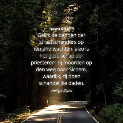 Picture 04 - Hosea 6:9 NLD - Gelijk de benden der straatschenders op iemand - Bible Verse Picture