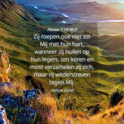 Picture 04 - Hosea 7:14 NLD - Zij roepen ook niet tot Mij met hun hart, wanneer - Bible Verse Picture
