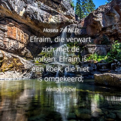 Picture 04 - Hosea 7:8 NLD - Efraim, die verwart zich met de volken; Efraim is - Bible Verse Picture