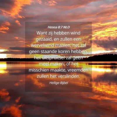 Picture 04 - Hosea 8:7 NLD - Want zij hebben wind gezaaid, en zullen een - Bible Verse Picture