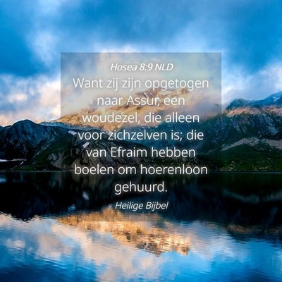 Picture 04 - Hosea 8:9 NLD - Want zij zijn opgetogen naar Assur, een woudezel, - Bible Verse Picture