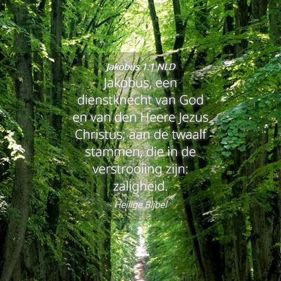 Picture 04 - Jakobus 1:1 NLD - Jakobus, een dienstknecht van God en van den - Bible Verse Picture