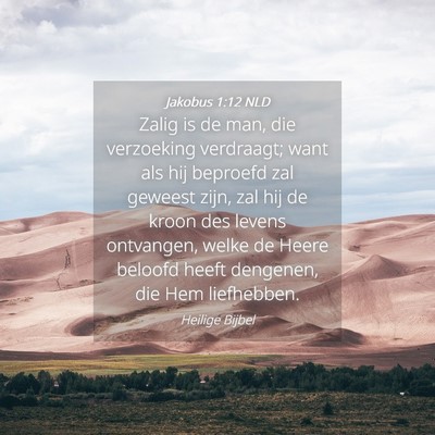 Picture 04 - Jakobus 1:12 NLD - Zalig is de man, die verzoeking verdraagt; want - Bible Verse Picture