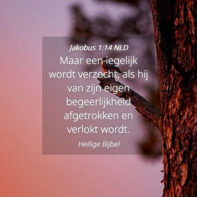 Picture 04 - Jakobus 1:14 NLD - Maar een iegelijk wordt verzocht, als hij van - Bible Verse Picture