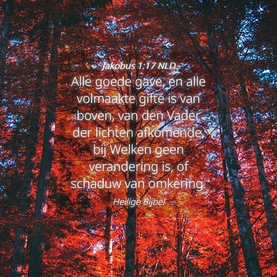 Picture 04 - Jakobus 1:17 NLD - Alle goede gave, en alle volmaakte gifte is van - Bible Verse Picture