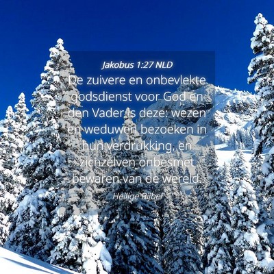 Picture 04 - Jakobus 1:27 NLD - De zuivere en onbevlekte godsdienst voor God en - Bible Verse Picture