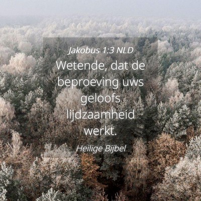Picture 04 - Jakobus 1:3 NLD - Wetende, dat de beproeving uws geloofs - Bible Verse Picture