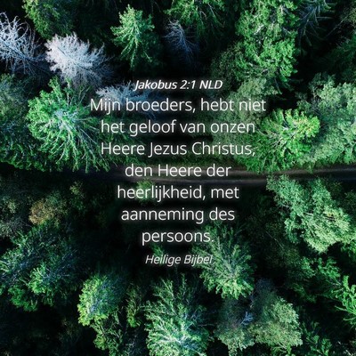 Picture 04 - Jakobus 2:1 NLD - Mijn broeders, hebt niet het geloof van onzen - Bible Verse Picture