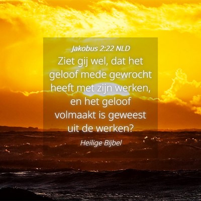 Picture 04 - Jakobus 2:22 NLD - Ziet gij wel, dat het geloof mede gewrocht heeft - Bible Verse Picture