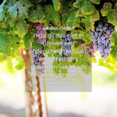 Picture 04 - Jakobus 2:4 NLD - Hebt gij dan niet in uzelven een onderscheid - Bible Verse Picture